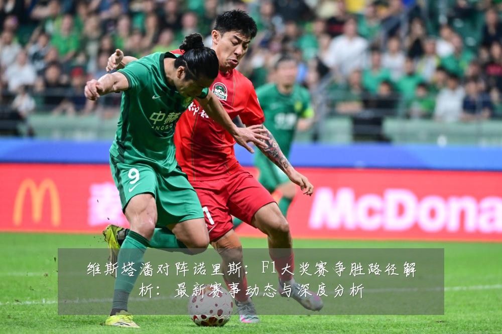 维斯塔潘对阵诺里斯:F1大奖赛争胜路径解析:最新赛事动态与深度分析